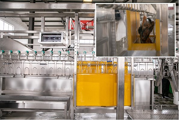 Compact Poultry Slaughter Line