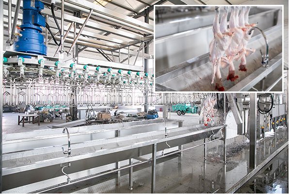 Compact Poultry Slaughter Line